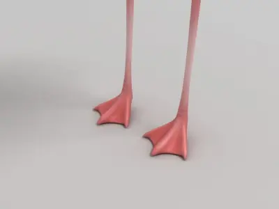 Flamingo 3D model 2