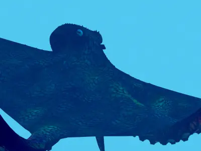 Octopus vulgaris of deep Low-poly 3D model