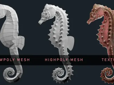 Game Ready Seahorse Low-poly 3D model