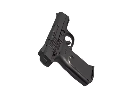 Ruger SR9 3D print model