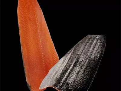 Fish 2 3D model