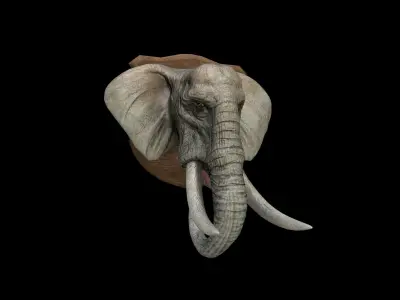 Elephant Head - PBR - Textured Low-poly 3D model