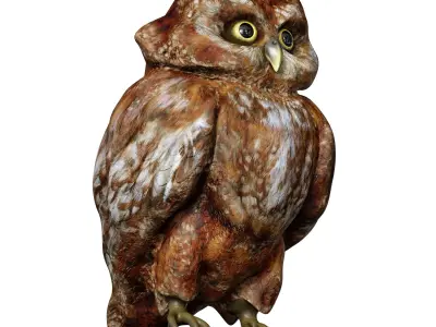 The Owl Bird 3D model