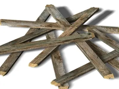 Woods 05 3D model