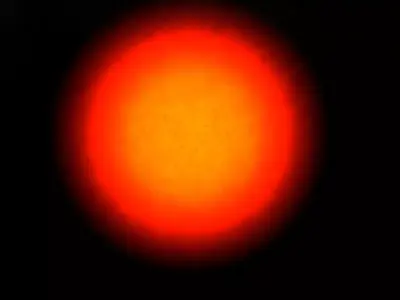 Lively sun 3D model