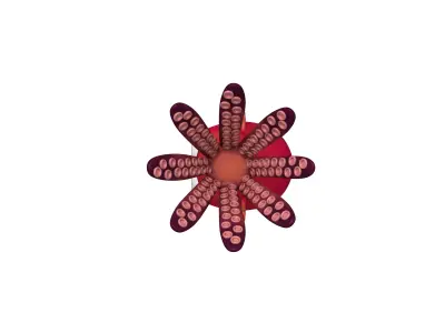 Octopus Cartoon 3D model