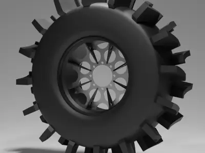 Paddy Tire and Rim 1 3D model