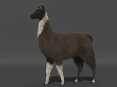 Llama 3D model