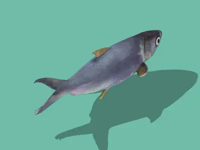 Sardine Low-poly 3D model