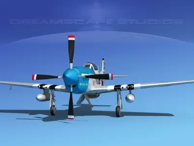 P-51D Mustang Strawboss 3D model