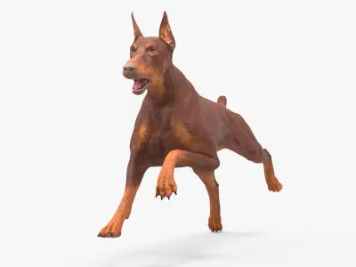 Doberman Dog Brown Running 3D model