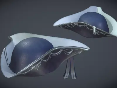 Tricorn Low-poly 3D model