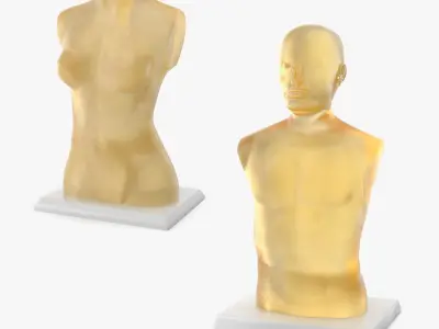 Ballistic Gel Dummies Collection 3D model