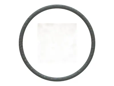 O Ring Vedabras 12587 3D model