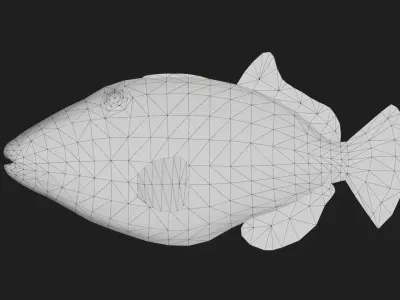 Filefish Low-poly 3D model order