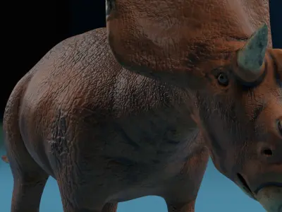 Triceratops  Rigged  Blender  Low-Poly Low-poly 3D model