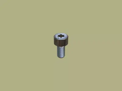 Collection of Steel Stained Torx Cap Bolts 3D Model Pack