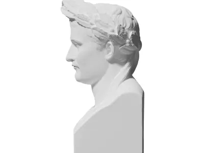 Napoleon Bonaparte Bust Highres for 3D Printing 3D print model