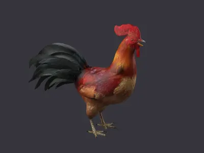 rooster rigged bird farm cock feather chicken poultry animal 3D model
