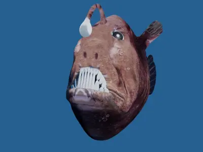 angler fish 3D model purchase