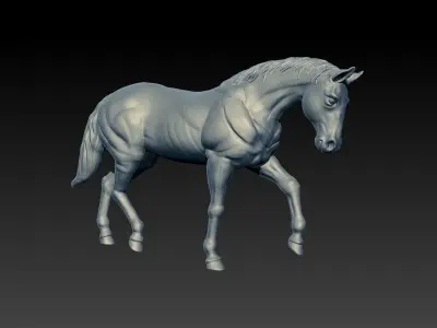 Horse 3D model 9