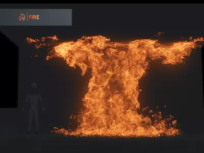 3D Wallfire Animation 3D model purchase