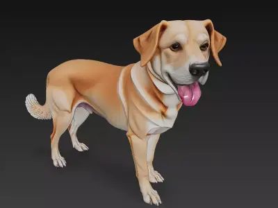 Dog Realistic 3D Model - Low Poly Realistic Low-poly 3D model
