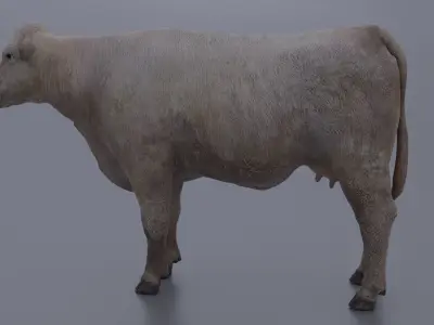 Cow-cattle Low-poly 3D model