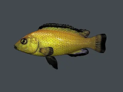 FISH-003 Fish 3D model