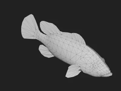 Bass fish Low-poly 3D model