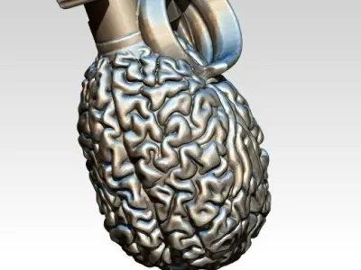 human Brain grenade highpoly modern art 3D print model