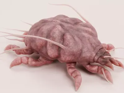 Scabies Mite Low-poly 3D model