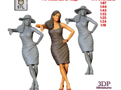 N8 Pin-up girl 3D print model