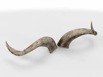 rolled horns 01 3D model purchase