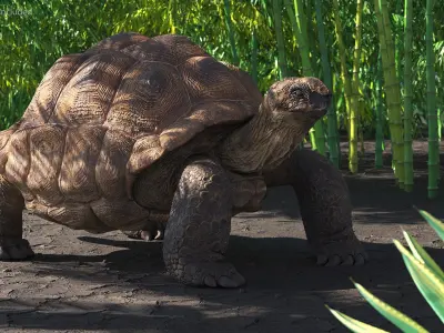 Dirty Old Giant Turtle Stand Pose(1) 3D model