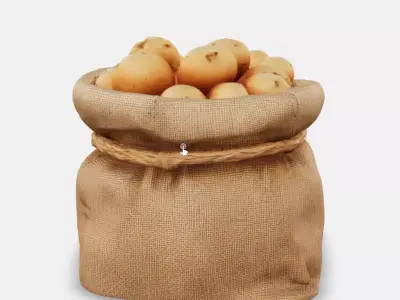 Woven Potato Sack Low-poly 3D model