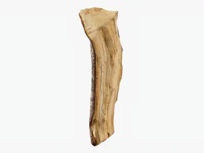 Scanned Tree Wood 11 3D model