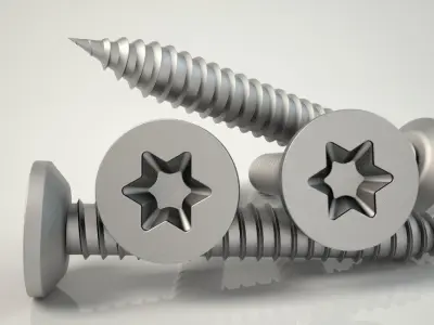 3D Screw Model  Buldeks Vida Clear Model 3D print model