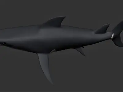 Bull Shark Low-poly 3D model