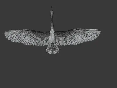 Great Blue Heron - Ardea Herodias 3D model