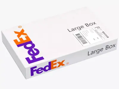 Cardboard Box Fedex 3D model