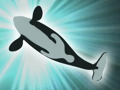 Killer whale 3D model get