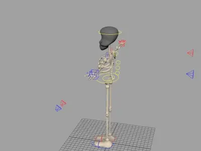 Skeleton Fully Rigged 3D model