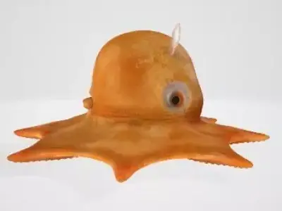 Flapjack octopus 3D model
