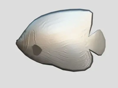 Emperor Angelfish Realistic Animated Low-poly 3D model