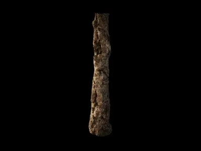 Anydrafts Platanus orientalis Trunk 02 Low-poly 3D model