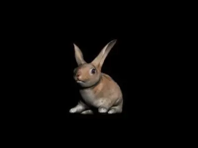 Rabbit 3D model purchase
