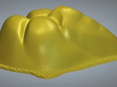 CUBREBOCA CARA DE LEON Free 3D model