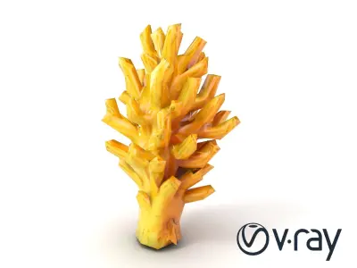 Fan-Shaped Coral Reef Structure model pack Low-poly 3D model