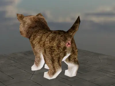 Cute Kitten Low-poly 3D model